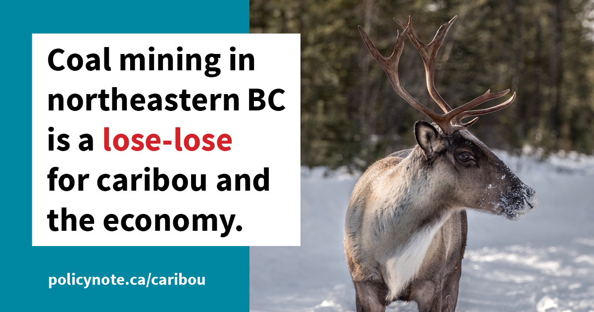 Who benefits from caribou decline? Corporate Mapping Project